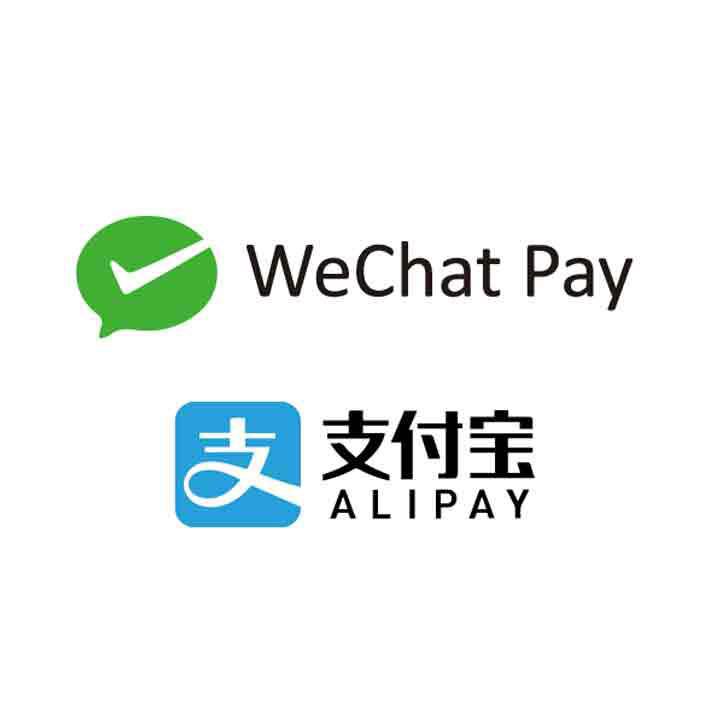 中国電子決済（WeChatPay・Alipay）