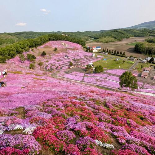 【グローバル通信】北海道2024年外国人延べ宿泊者数が過去最多！2019年比168万人泊増！今年は1～3月のみで155万人泊増！