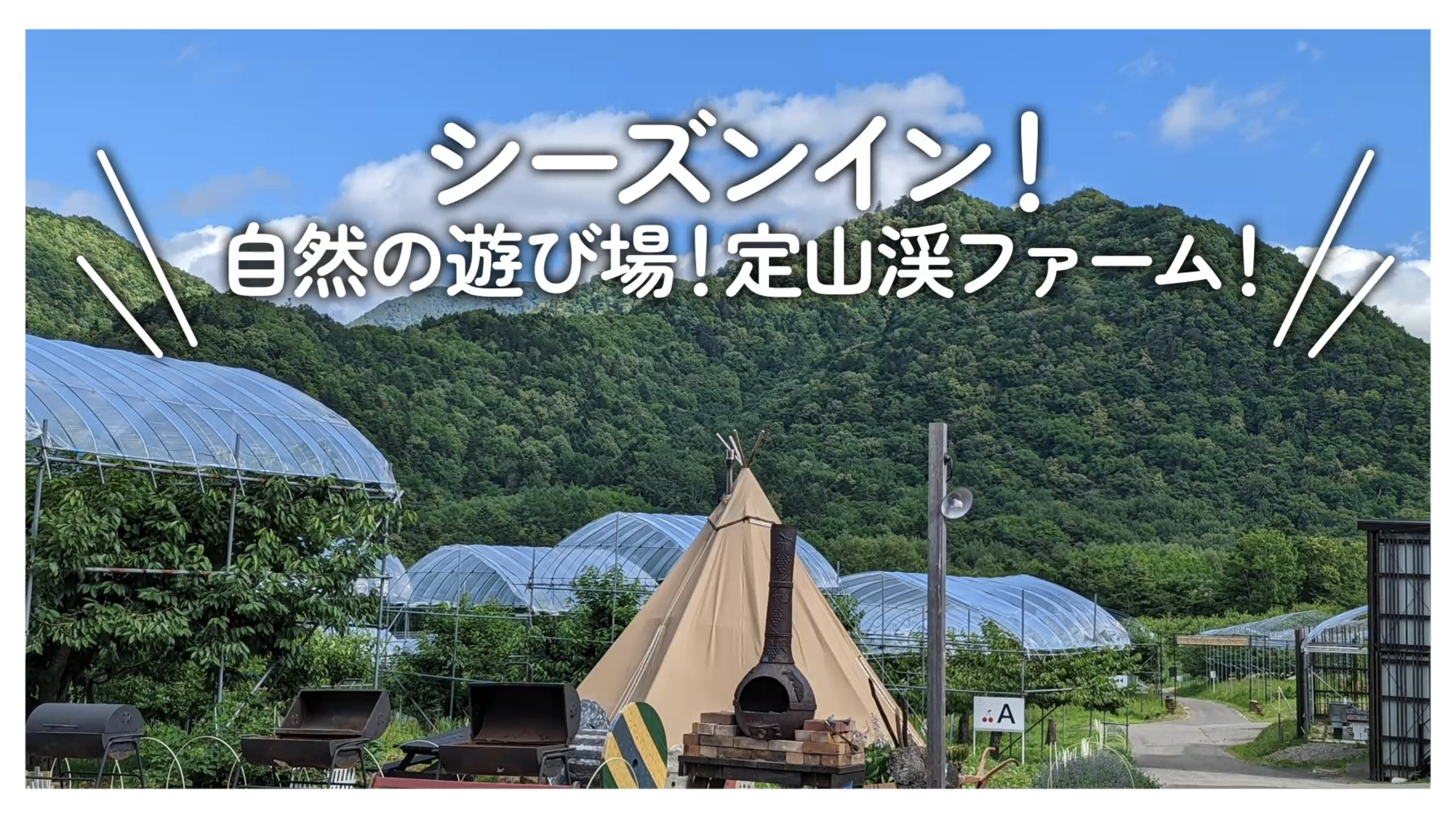 話題のSNSやYouTubeに！視覚的に訴求力が高い『動画広告』が始めやすくなりました！！