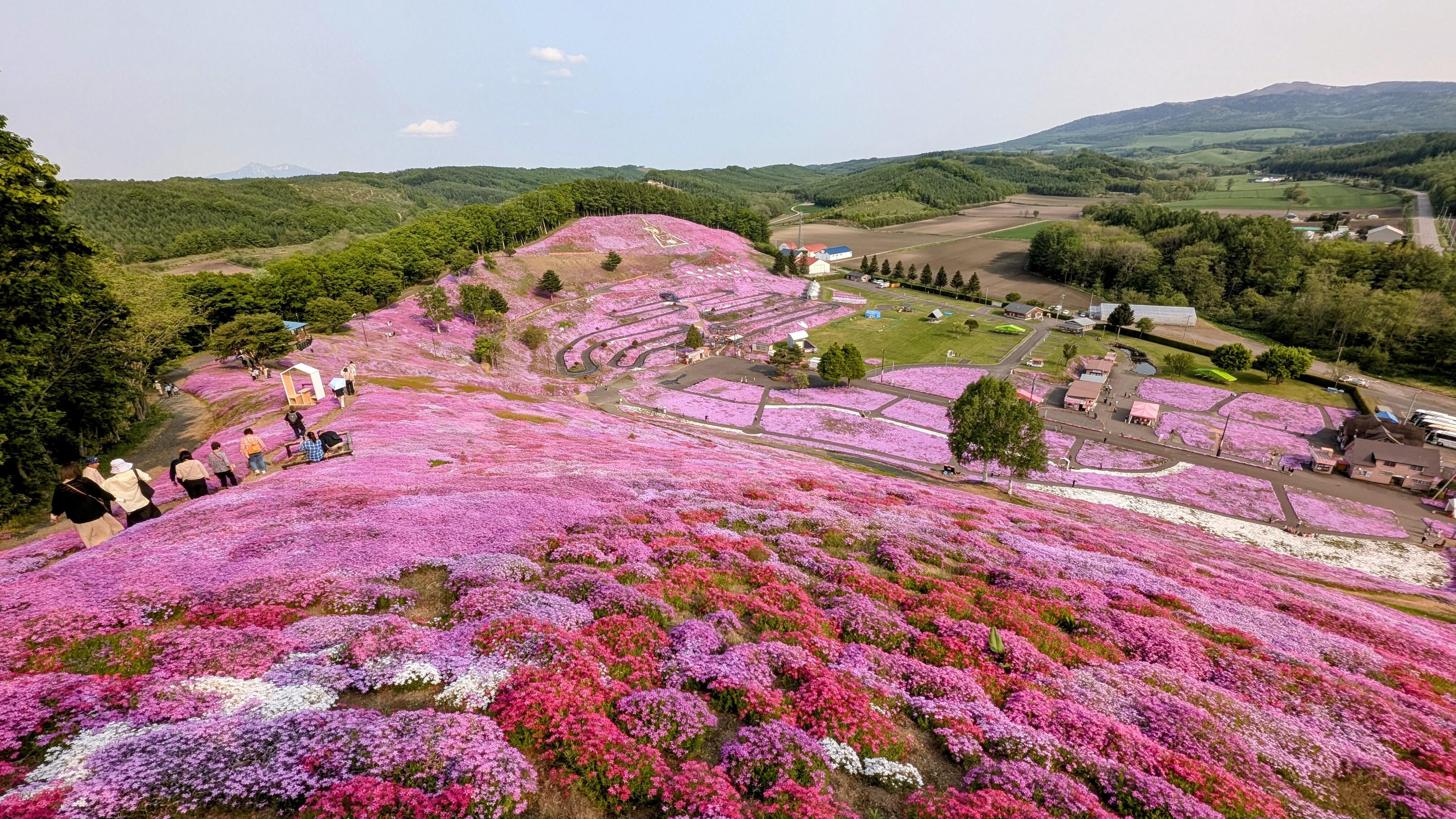 【グローバル通信】北海道2024年外国人延べ宿泊者数が過去最多!2019年比168万人泊増!今年は1~3月のみで155万人泊増!